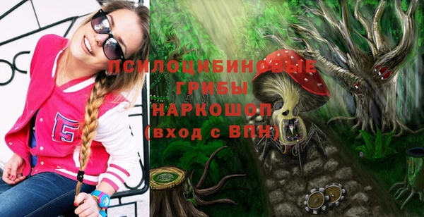 дурь Семилуки