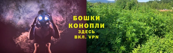 spice Белокуриха