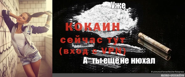spice Белокуриха
