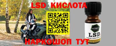 mdpv Брянск