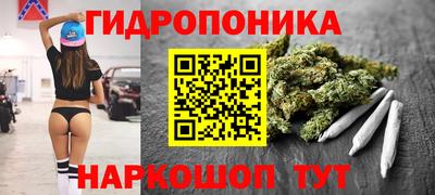 mdpv Брянск