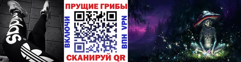 Галлюциногенные грибы Psilocybine cubensis  Верхний Уфалей 