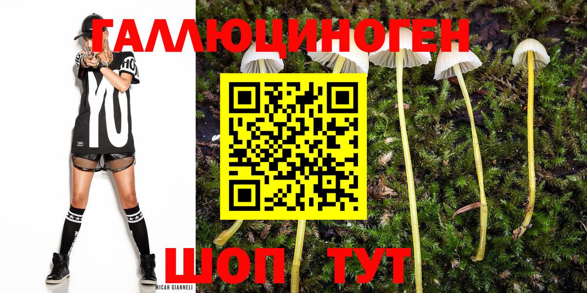 Галлюциногенные грибы GOLDEN TEACHER  Вход с VPN  Верхний Уфалей  Галлюциногенные грибы прущие грибы 