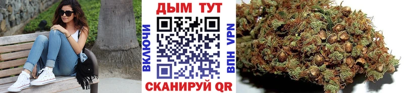 наркота  Верхний Уфалей  Канабис планчик 